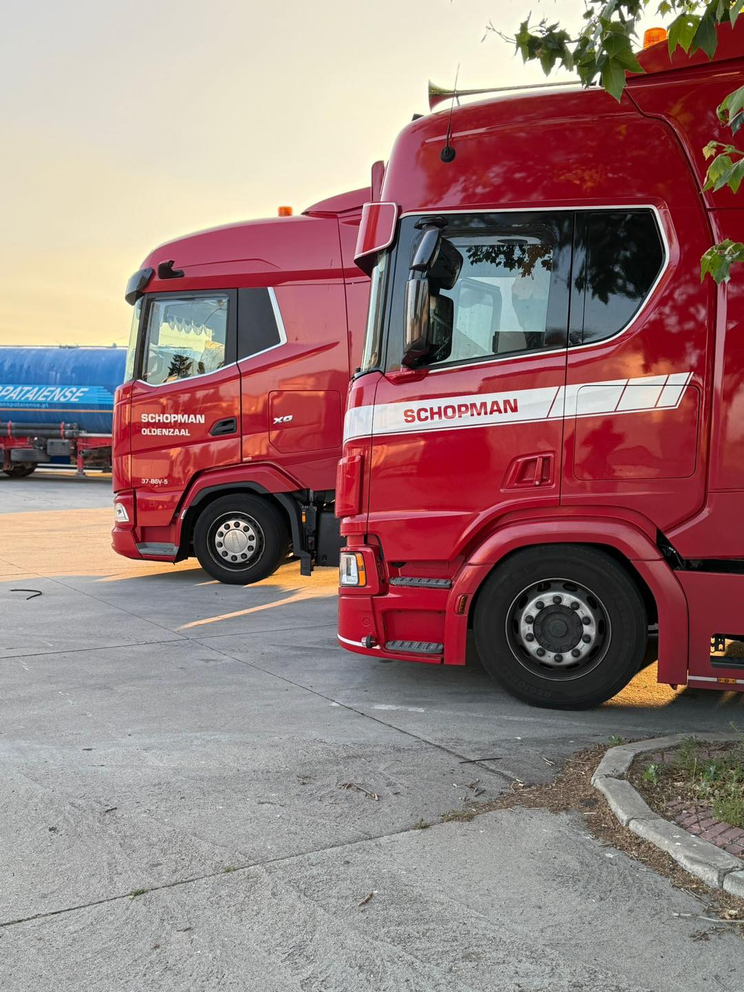 Twee rode Scania vrachtwagens van Schopman Transport geparkeerd op een terrein